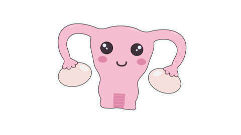 Menstruation Periods Sticker by Dr. Lynne ND