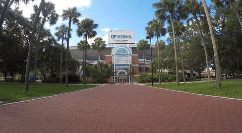 college football go gators GIF by University of Florida
