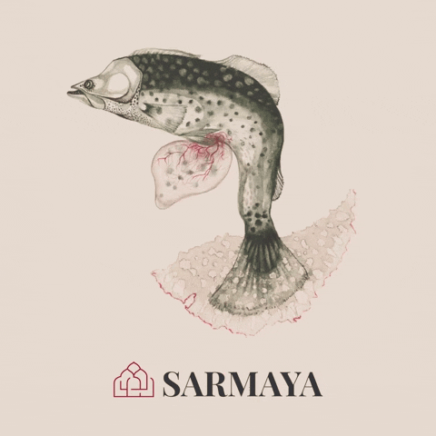 Art Fish GIF by Sarmaya Arts Foundation
