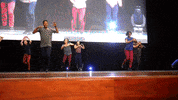 GIF by Chicago Dance Crash