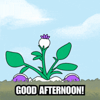 Happy Good Morning GIF by Magic Eden