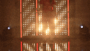 Utah Utes Softball GIF by NCAA Championships