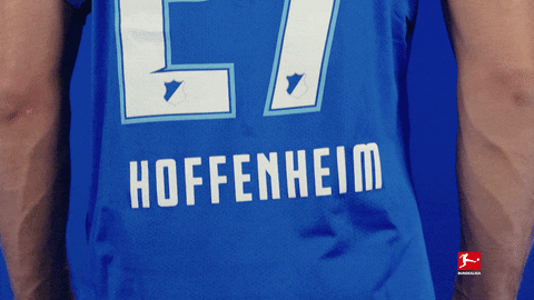 Happy Tsg Hoffenheim GIF by Bundesliga
