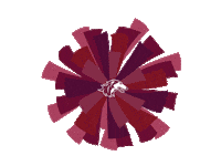 Cheer Dawgs Sticker by SIU Student Center