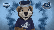 Disappointed College Sports GIF by College Colors Day