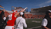 Excited College Football GIF by Wisconsin Badgers