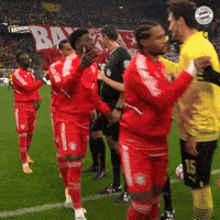 Shake Hands Football GIF by FC Bayern Munich