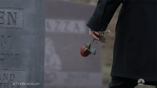 GIF by The Blacklist