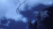 music video GIF by Rihanna