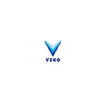 Fun Team Sticker by Veko