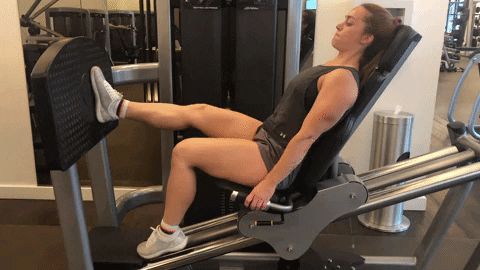 megsquats giphyupload GIF