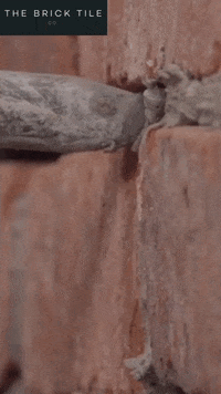 thebricktileco pointing brick bricks tiles GIF
