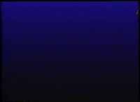 Everything Is Terrible Cant Fool Me GIF