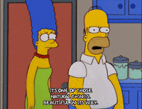 homer simpson GIF