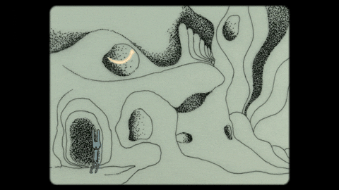 fromcecily giphyupload bunny walking handdrawnanimation GIF