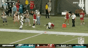 National Football League GIF by NFL