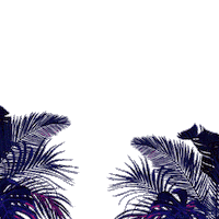 trio eletrico carnaval Sticker by Claudia Leitte