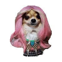 sassy hair STICKER by imoji