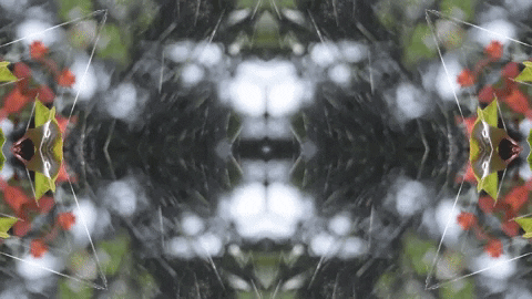 Art Love GIF by jorgemariozuleta