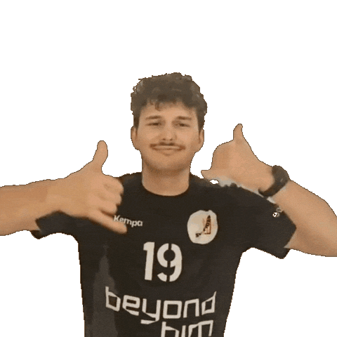 Handball Julian Sticker by SVFides