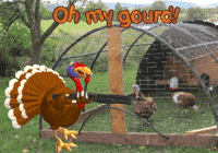 American Football Thanksgiving GIF