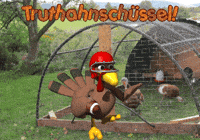 American Football Thanksgiving GIF