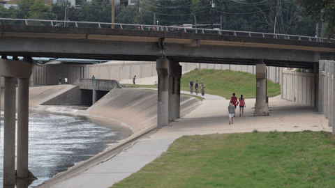 Summer Running GIF by DIIMSA Stock