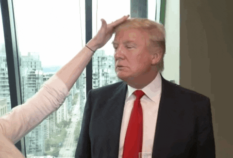 Donald Trump Hair GIF