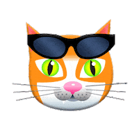 Sorry Cats Sticker by PEEKASSO