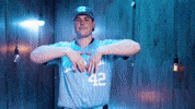 University Of North Carolina Baseball GIF by UNC Tar Heels