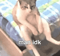Position Sad Cat GIF