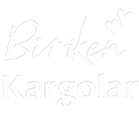 Mnks Kargo Sticker