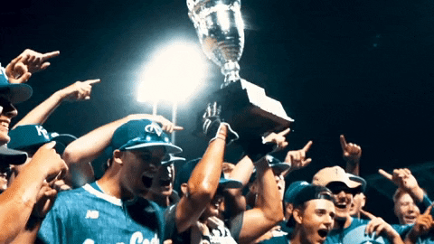areacodebaseball giphygifmaker GIF