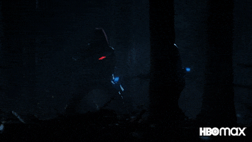 Red Hood Fight GIF by Max