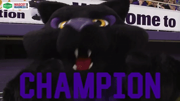 mvcmascots GIF by Missouri Valley Conference