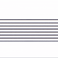 Angry Hamster GIF