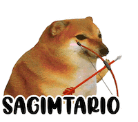 Zodiaco Sticker by Revicheems