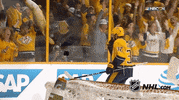 nashville predators hockey GIF by NHL