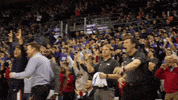 GonzagaBulldogs basketball celebration coach bench GIF