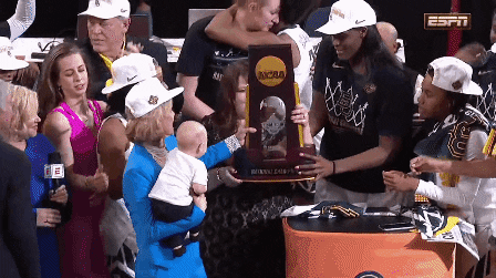GIF by Baylor University