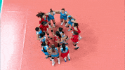 Happy Joy GIF by Volleyball World
