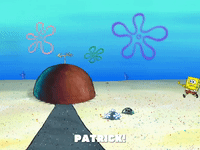 season 7 episode 20 GIF by SpongeBob SquarePants