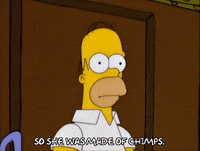 serious homer simpson GIF