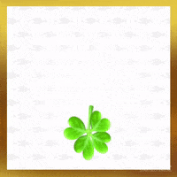 Party Community GIF by Staatsloterij