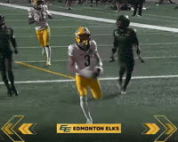 Celebration GIF