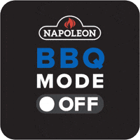 Bbq Grill GIF by Napoleon Premium BBQs Austria