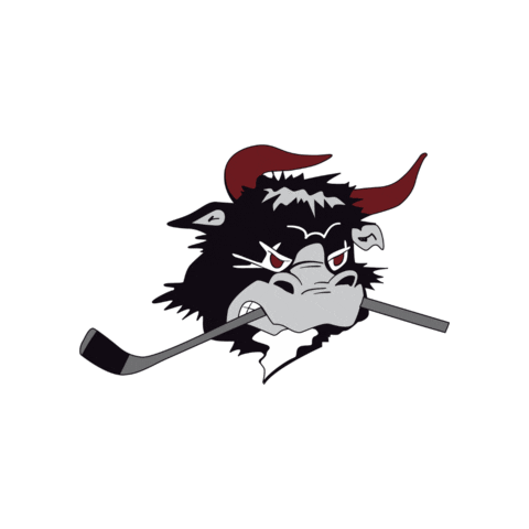 rodovremightybulls giphygifmaker rødovre mightybulls rødovremightybulls Sticker