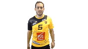 Vhb Sticker by Villers Handball