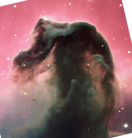 nebula horsehead GIF