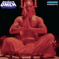 Martial Arts Fighting GIF by Arrow Video